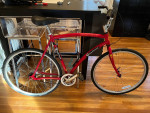 Van Dessel 7 speed hybrid bike