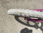 20 in Schwinn Girl's Bike