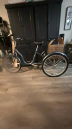 Schwinn trike the ultimate grocery getter