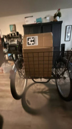 Schwinn trike the ultimate grocery getter