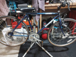 Nishiki