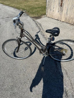 Giant Cypress Bike