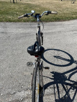 Giant Cypress Bike