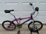 Mint -1994 DYNO COMPE PURPLE RAIN