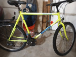 nishiki manitoba
