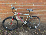Mountain bike