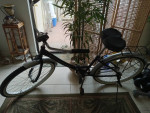 great bicycle