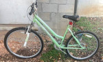 3Green Pacific Exploit Bike