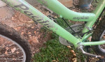3Green Pacific Exploit Bike