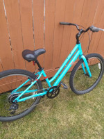 LADIES FUJI COMFORT BIKE