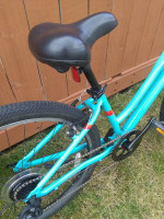 LADIES FUJI COMFORT BIKE