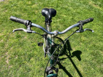 TREK -EXTRA LARGE bike - Groton Mystic - Glen