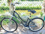 Giant Sedona Step Through Aluminum Hybrid Comfort Bike w/ Suspension