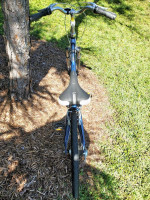Giant Sedona Step Through Aluminum Hybrid Comfort Bike w/ Suspension