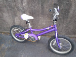 Purple Rookie 16in Kids Bike