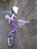 Purple Rookie 16in Kids Bike