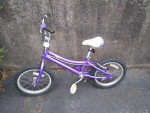 Purple Rookie 16in Kids Bike