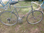 ***LOWER price BIKE SALE five or more
