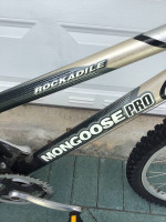 Bike 21 speed