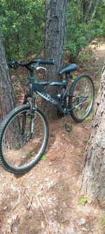 Bicycle