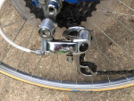 Panasonic Tall Men's Road Bike