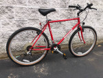 Bridgestone 21-speed all-weather commuter bike M / L for 5'6" to 6'0"