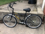 Schwinn Impact