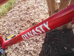 Free Spirit Dynasty, 12 speed