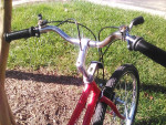 Free Spirit Dynasty, 12 speed