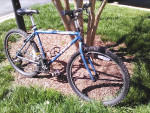 Trek Mountain Track 820 w/ updates