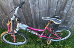 NEEDS WORK 20" Girls' BCA MT20 Mountain Bike TLC bicycle tires Project