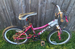 NEEDS WORK 20" Girls' BCA MT20 Mountain Bike TLC bicycle tires Project