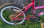 NEEDS WORK 20" Girls' BCA MT20 Mountain Bike TLC bicycle tires Project