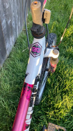 NEEDS WORK 20" Girls' BCA MT20 Mountain Bike TLC bicycle tires Project