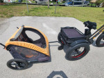 BPM 3 Wheel Electric Trike with Baby / Pet Carrier