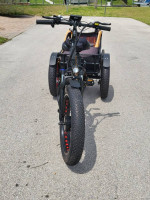 BPM 3 Wheel Electric Trike with Baby / Pet Carrier