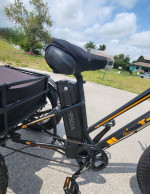 BPM 3 Wheel Electric Trike with Baby / Pet Carrier