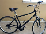 Raleigh 7 speed bicycle