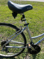 Raleigh Step Thru Bike