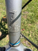Raleigh Step Thru Bike
