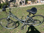 Raleigh Step Thru Bike