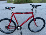 Cannondale Bike for Tall Rider