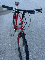 Cannondale Bike for Tall Rider