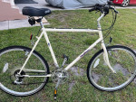 Specialized 21 Speed Bike for Tall Rider