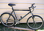 Schwinn Paramount PDG 40 – 20”