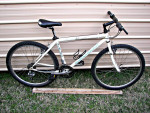 Schwinn Paramount PDG 20 – 17”