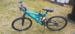 NEXT Gauntlet Mt bike