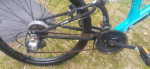 NEXT Gauntlet Mt bike