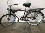 Schwinn Cruiser