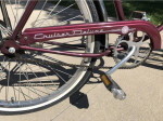 Schwinn Cruiser